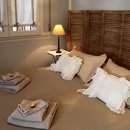 B&B Nadine Forli - Cura, Stile E Ospitalita Con Parcheggio Gratuito 3* フォルリ