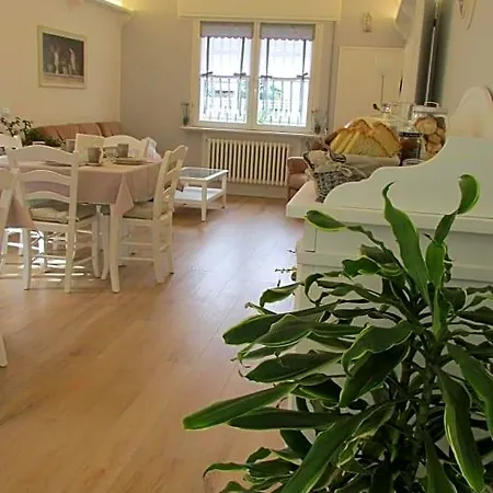 B&B Nadine Forli - Cura, Stile E Ospitalita Con Parcheggio Gratuito 3* フォルリ
