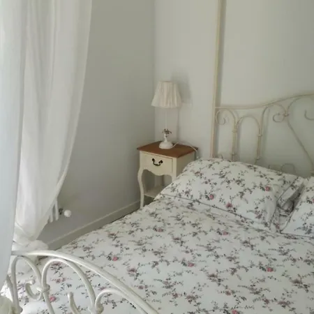 B&B Nadine Forli - Cura, Stile E Ospitalita Con Parcheggio Gratuito 3* フォルリ